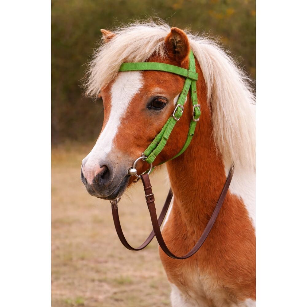 Green Nylon Headstall – Pony Size – EUC